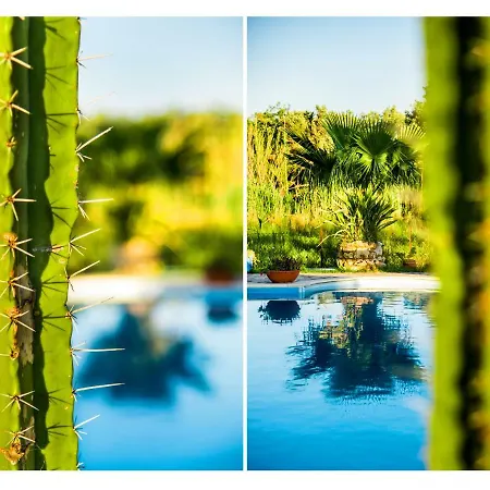 Swan Апартаменты