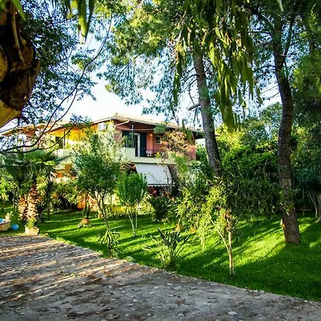 Swan Lefkada City