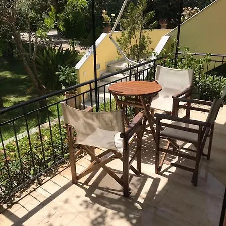 Swan * Lefkada City